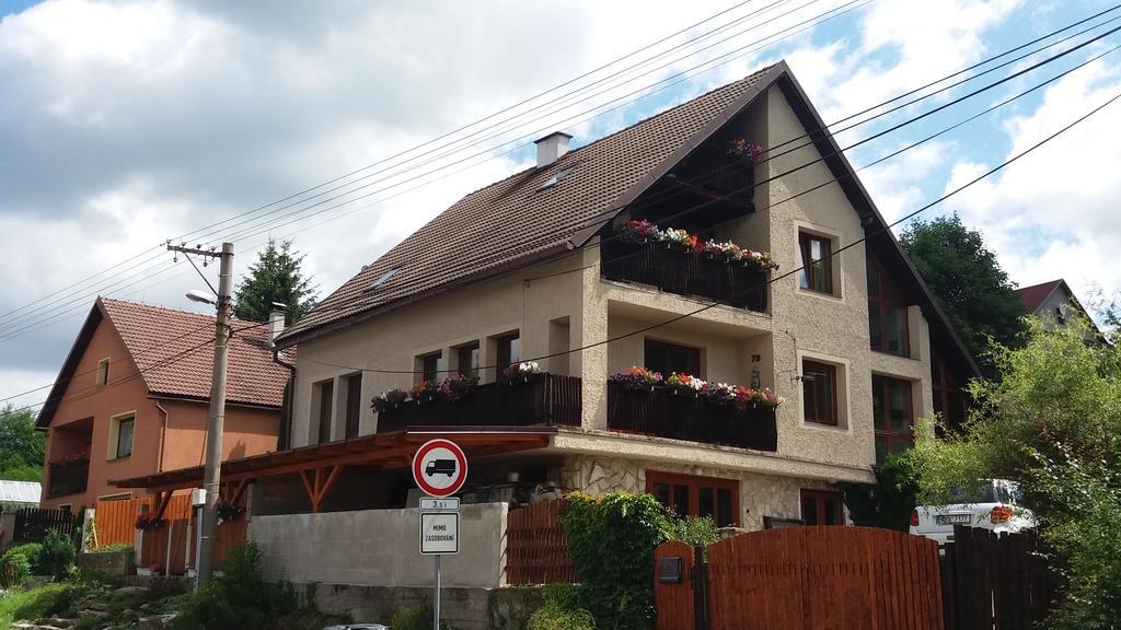 Apartmany Sharka -Sarka Justrova Decin Ngoại thất bức ảnh
